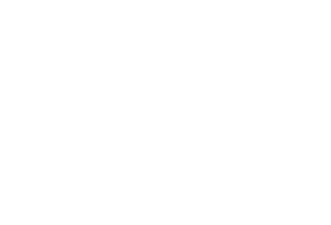 Logo-SEIREL-blanc